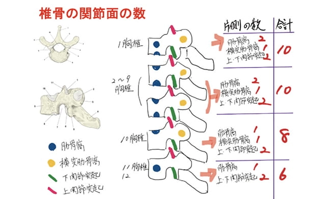 学習資料の配信画像