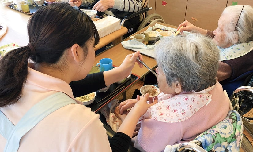 骨模型のパズル