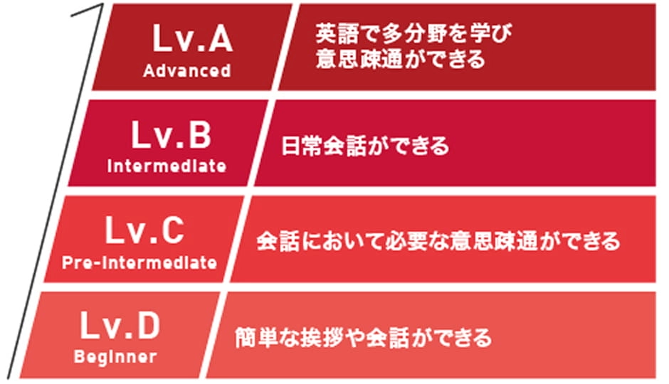 レベル別授業の様子