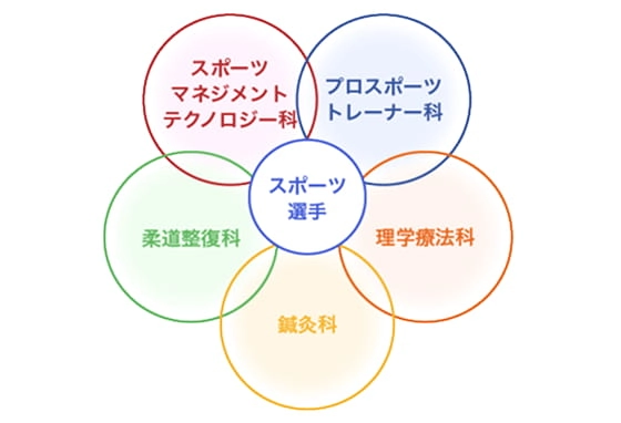 スポーツマネジメントテクノロジー科・プロスポーツトレーナー科・理学療法科・鍼灸科・柔道整復科でチームを組んでスポーツ選手をサポートする図
