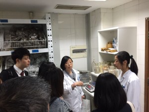 IMG_7685