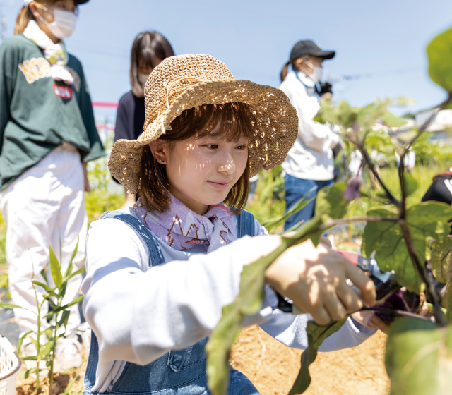 農業・健康美に関する仕事