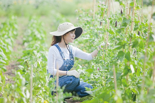 農業を仕事にしたい！ 農家へ就職する方法