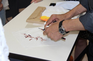 Img_3270 Img_3270