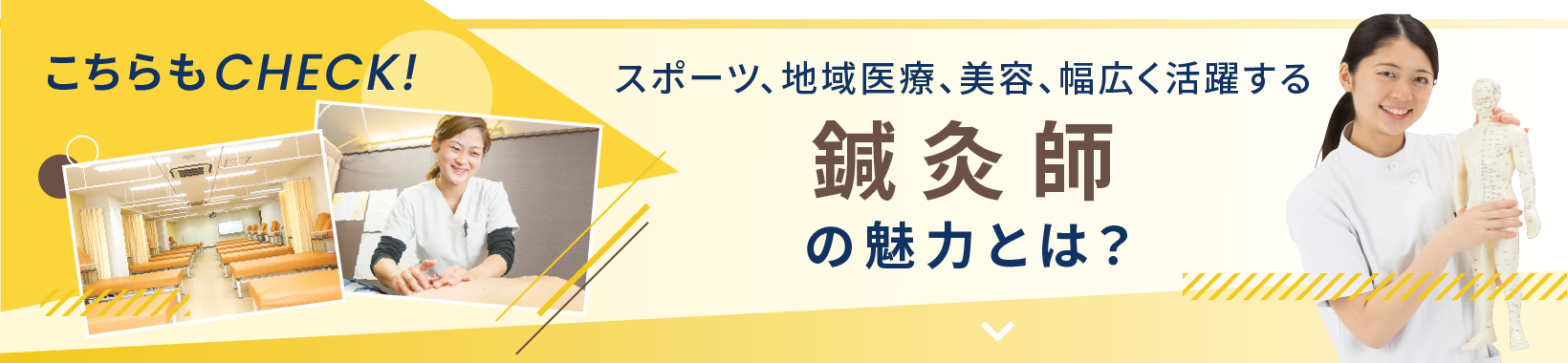 こちらもCHECK！ スポーツ、地域医療、美容、幅広く活躍する鍼灸師の魅力とは？