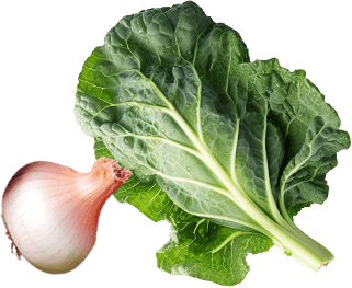 玉ねぎと葉物野菜