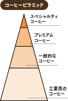コーヒーピラミッドの図