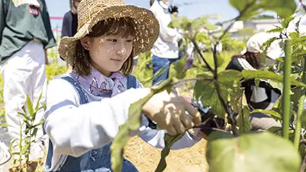 収穫する学生