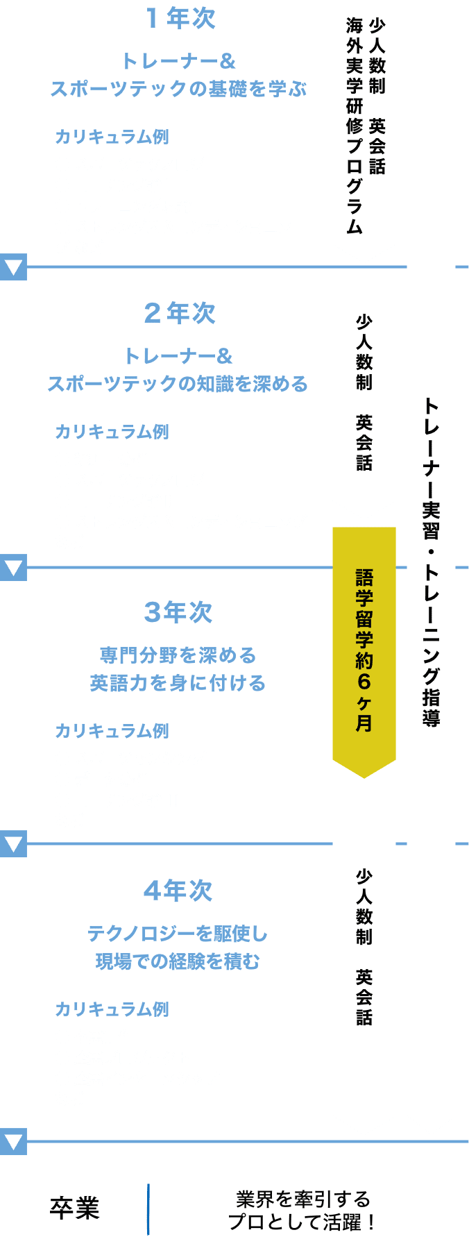 1年次：トレーナー&
						スポーツテックの基礎を学ぶ、2年次：トレーナー&スポーツテックの知識を深める、3年次：専門分野を深める英語力を身に付ける、4年次：テクノロジーを駆使し現場での経験を積む