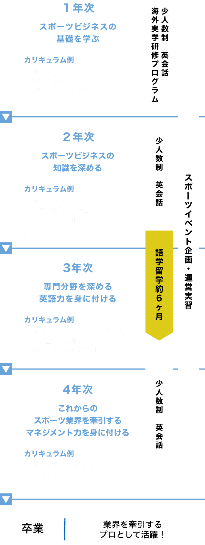 1年次：スポーツビジネスの基礎を学ぶ、2年次：スポーツビジネスの知識を深める、3年次：専門分野を深める英語力を身に付ける、4年次：これからのスポーツ業界を牽引するマネジメント力を身に付ける