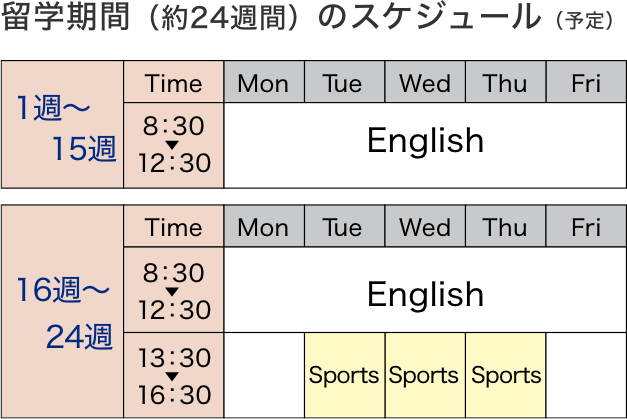 留学期間（約24週間）のスケジュール