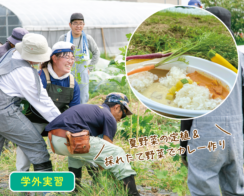 農業体験＆採れたて野菜でカレーづくり