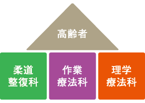 柔道整復科　高齢者　理学療法科　作業療法科